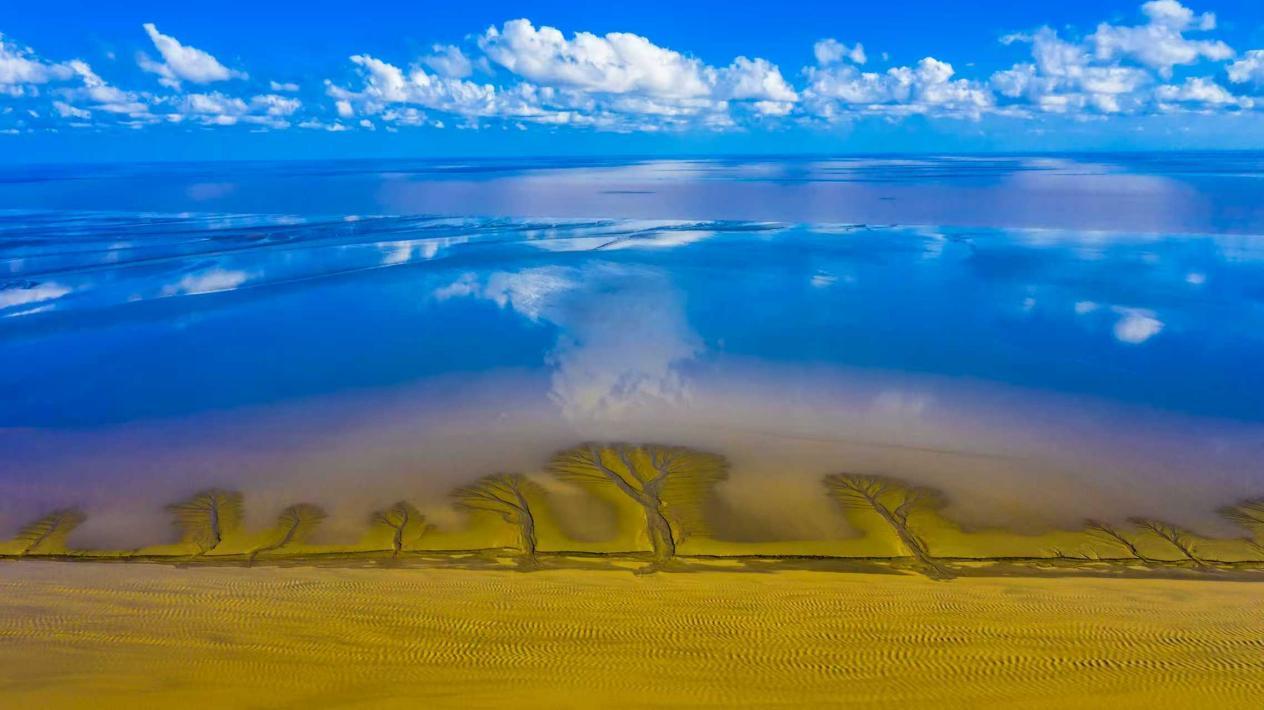 从“中国样本”到“创新案例” 江苏东台:湿地的“蓝碳”价值实